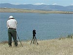 reservoir for wildfowl & terns